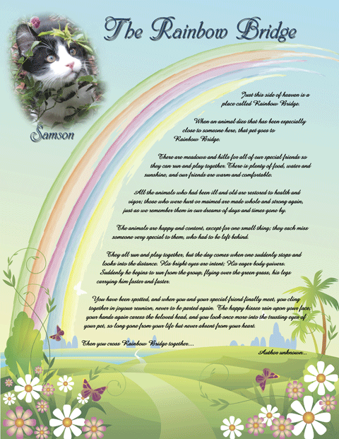 Rainbow Bridge